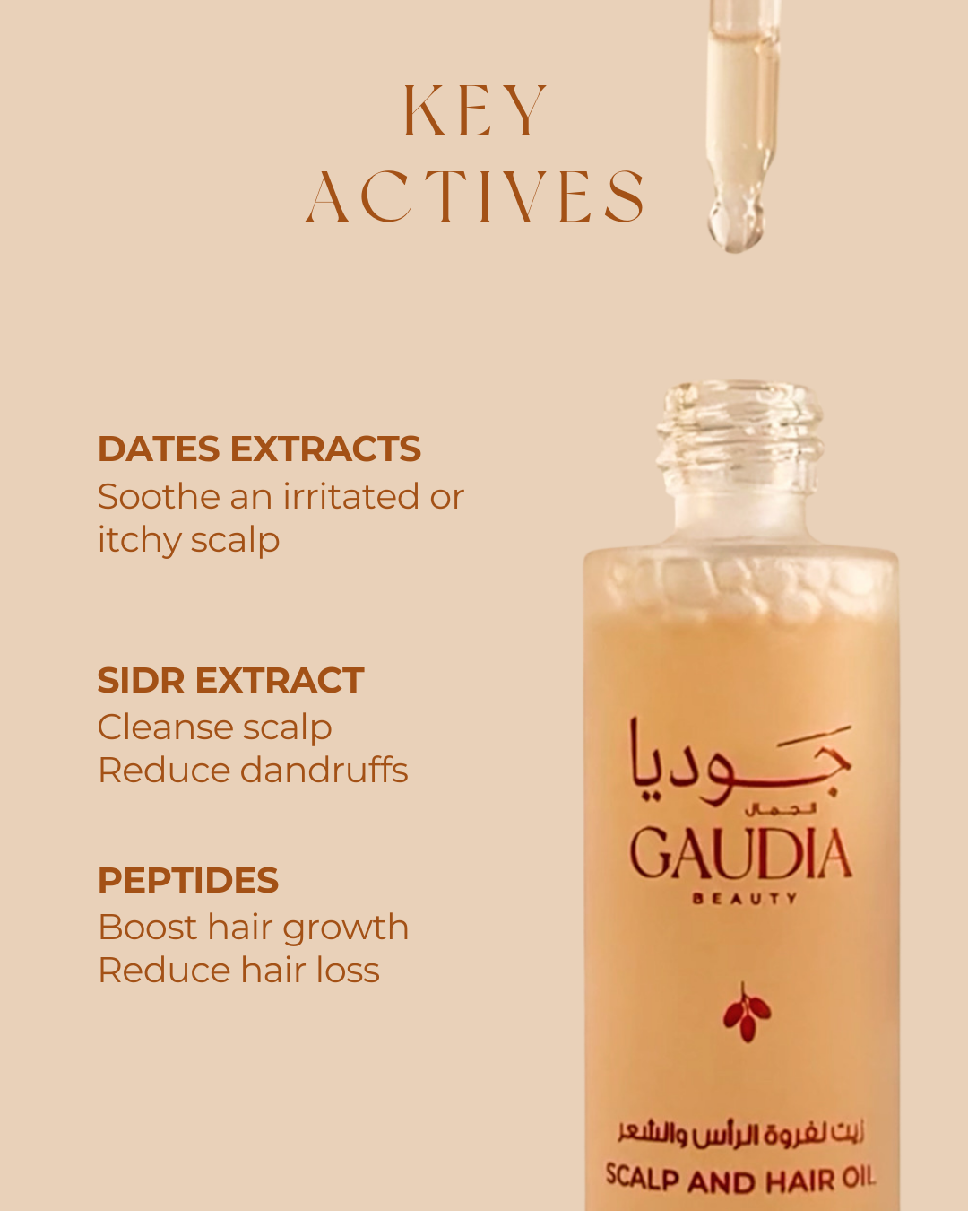 Hair & Scalp Oil - Balance & Boost - 50ml