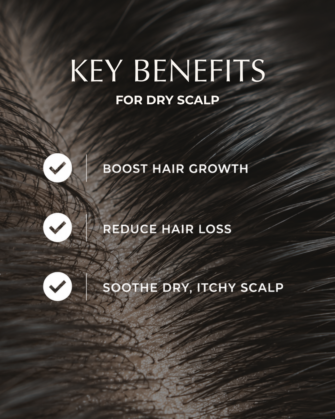 Hair & Scalp Oil - Nourish & Boost - 50ml